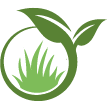 Indianapolis Lawn Clean Up