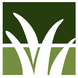Indianapolis Lawn Clean Up