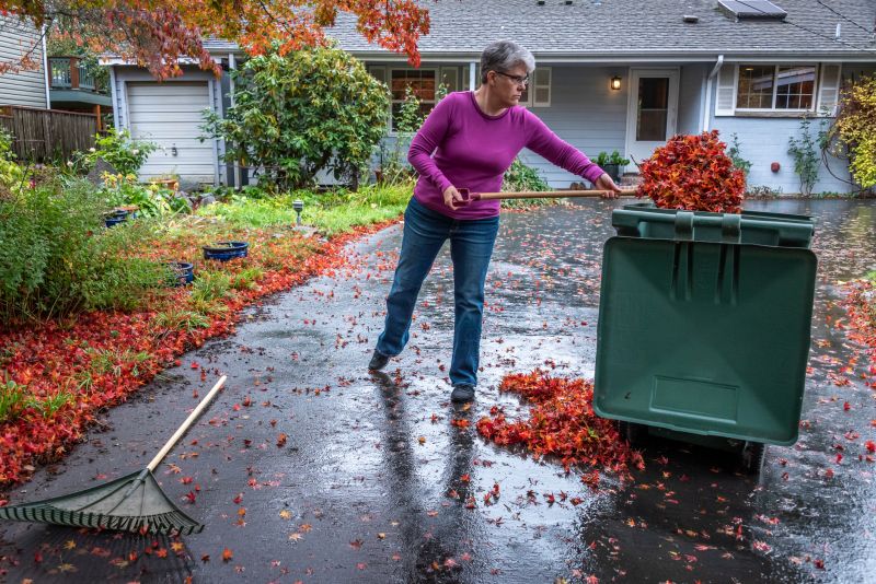 Fall Lawn Cleanup Service