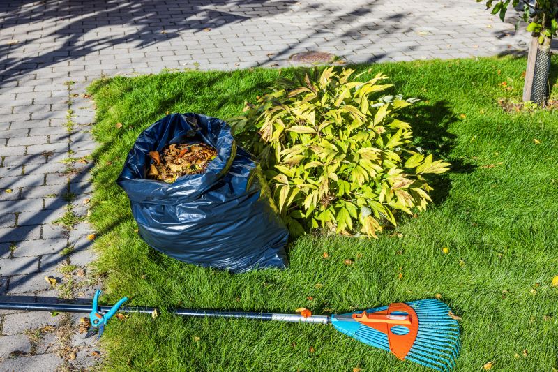Lawn debris removal in fall