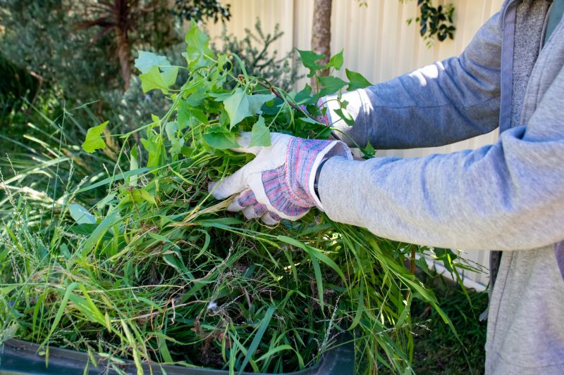 Why Fall And Spring Are The Best Times For Lawn Clean Up