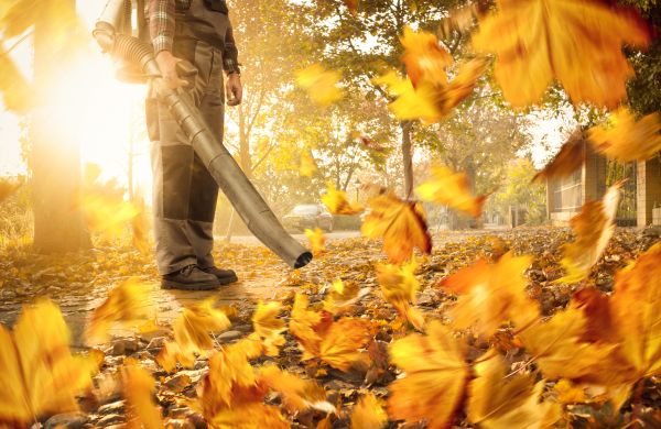 Cost of Leaf Blowing Service in Indianapolis