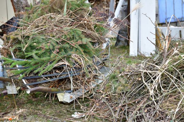 Cost of Yard Waste Removal Service in Indianapolis