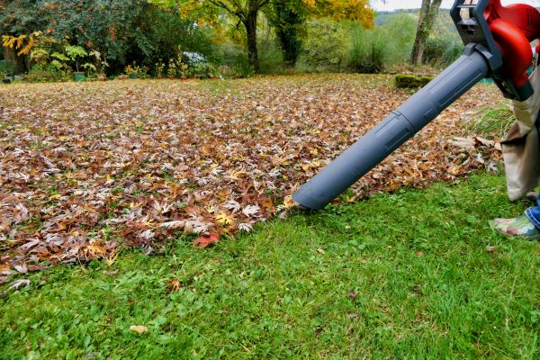 Cost of Leaves Vacuuming in Indianapolis