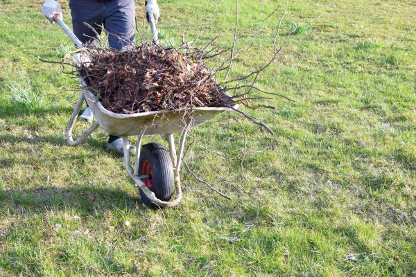 Cost of Yard Brush Removal in Indianapolis