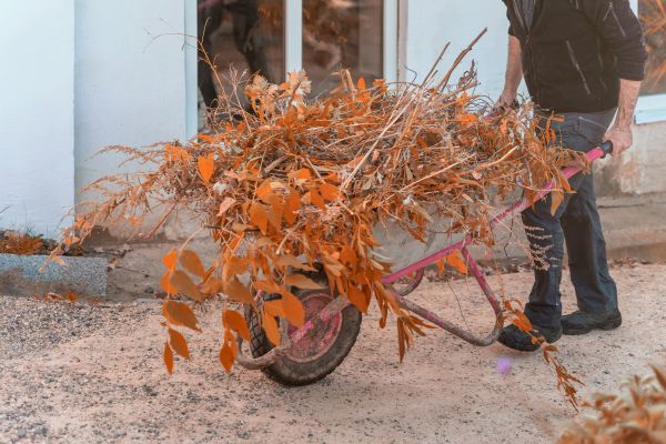 Cost of Lawn Debris Cleanup in Indianapolis