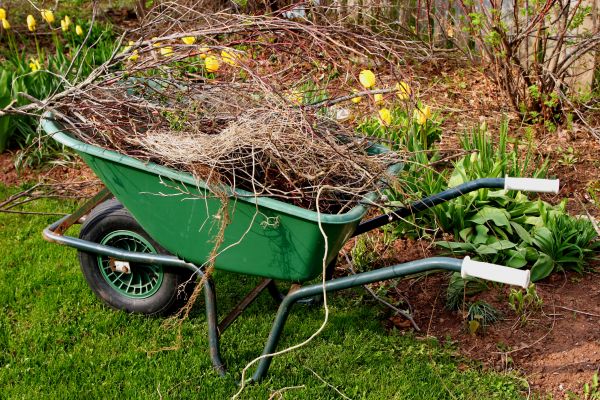 Cost of Lawn Waste Removal in Indianapolis