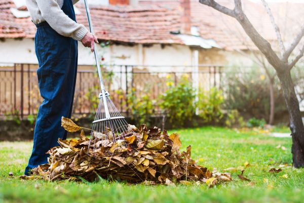 Cost of Fall Yard Cleanup Service in Indianapolis