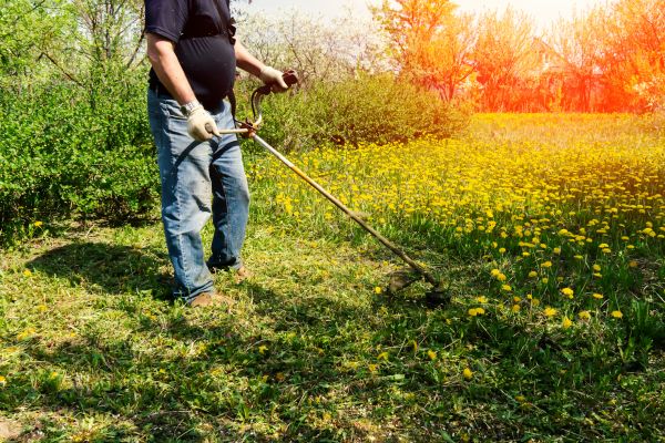 Cost of Yard Clearing Service in Indianapolis