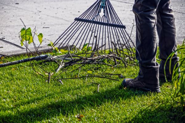 Cost of Yard Debris Cleanup in Indianapolis