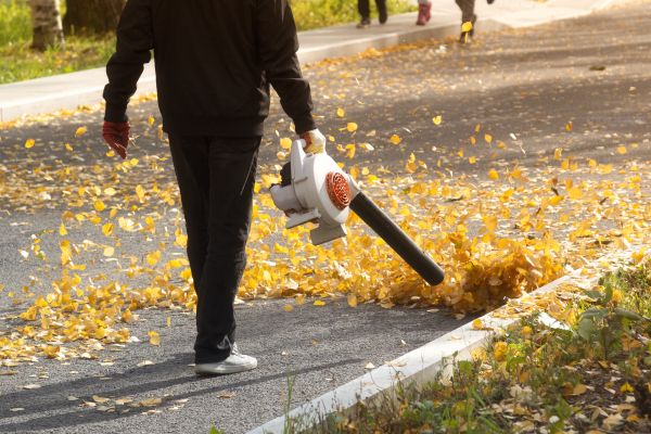 Cost of Commercial Leaf Removal in Indianapolis